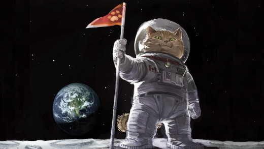 715468 (a): :1920x1080